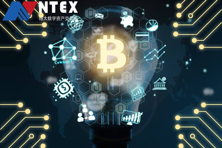 imToken 2.0国际版投资指南：如何构建数字货币价值网络，降低风险？